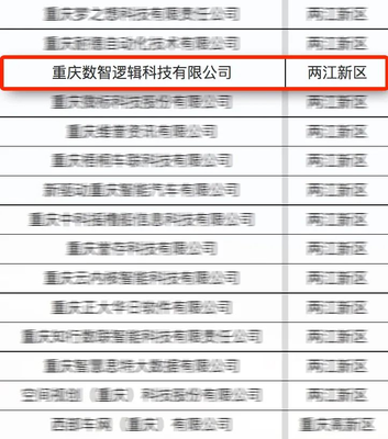 亚信科技旗下数智逻辑入选首批重庆市软件和信息服务业"满天星"示范企业