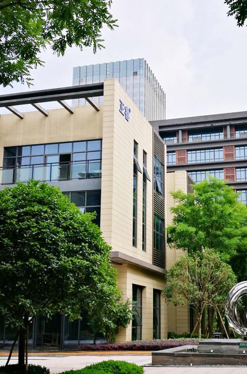 重庆正睿科技 扎根山城的重庆科技公司新样本
